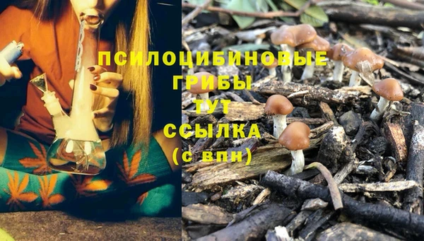 прущая мука Дмитров
